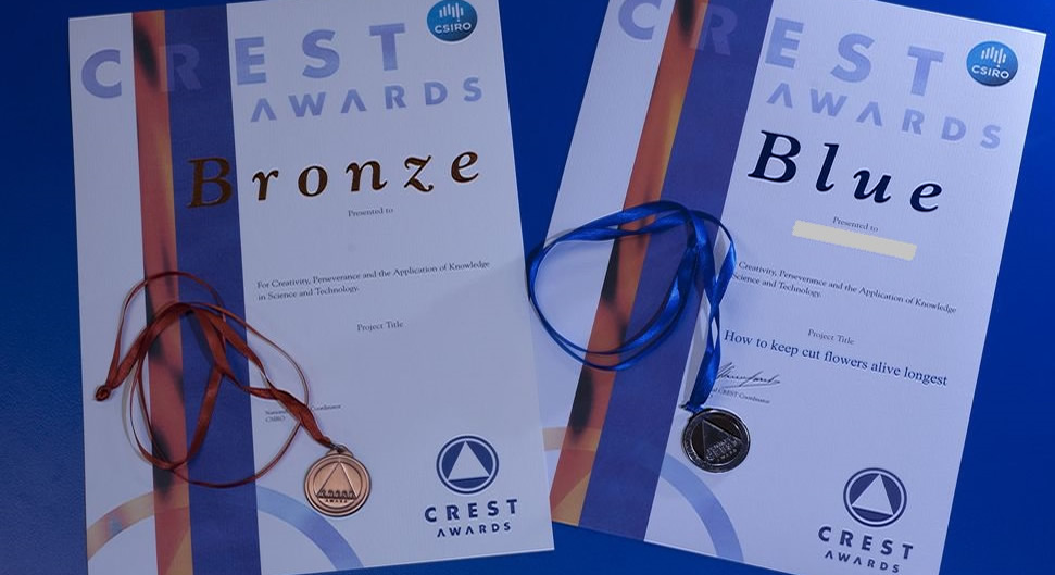 CREST (CREativity in Science and Technology) Awards