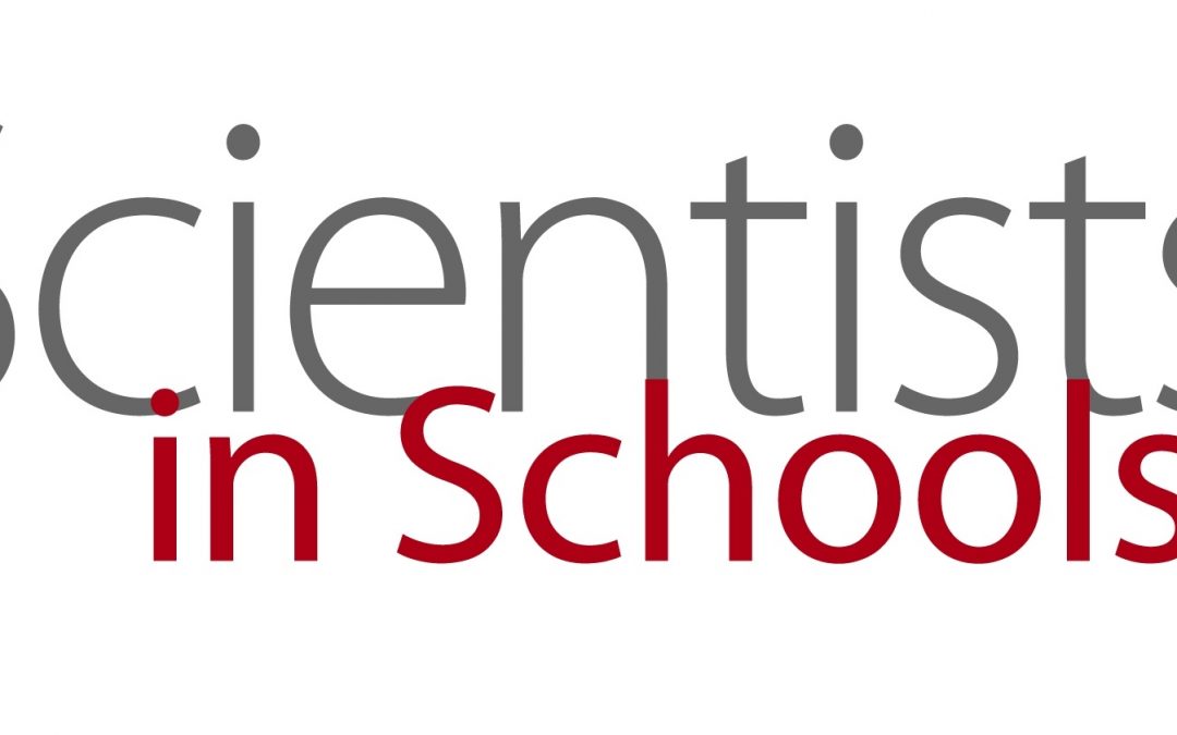 Scientists and Mathematicians in Schools