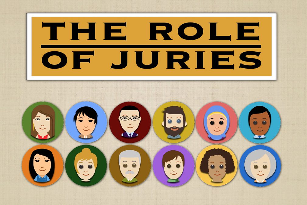 The role of juries eBook