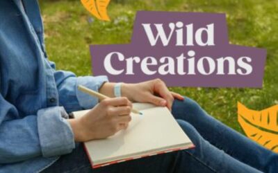 Wild Creations: Explore how nature can inspire creative writing, poetry and literacy learning
