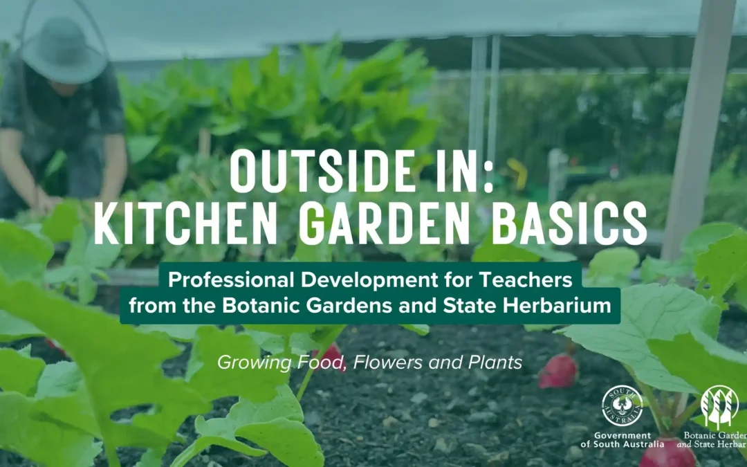 Outside In: Kitchen Garden Basics
