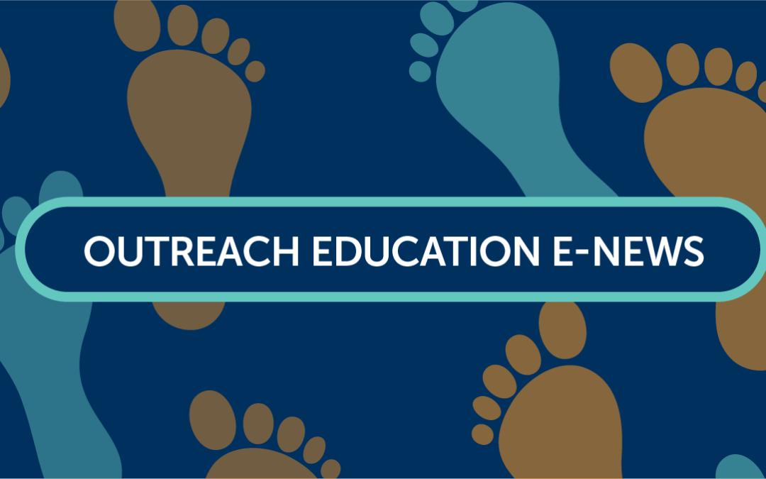 Term 4 Programs